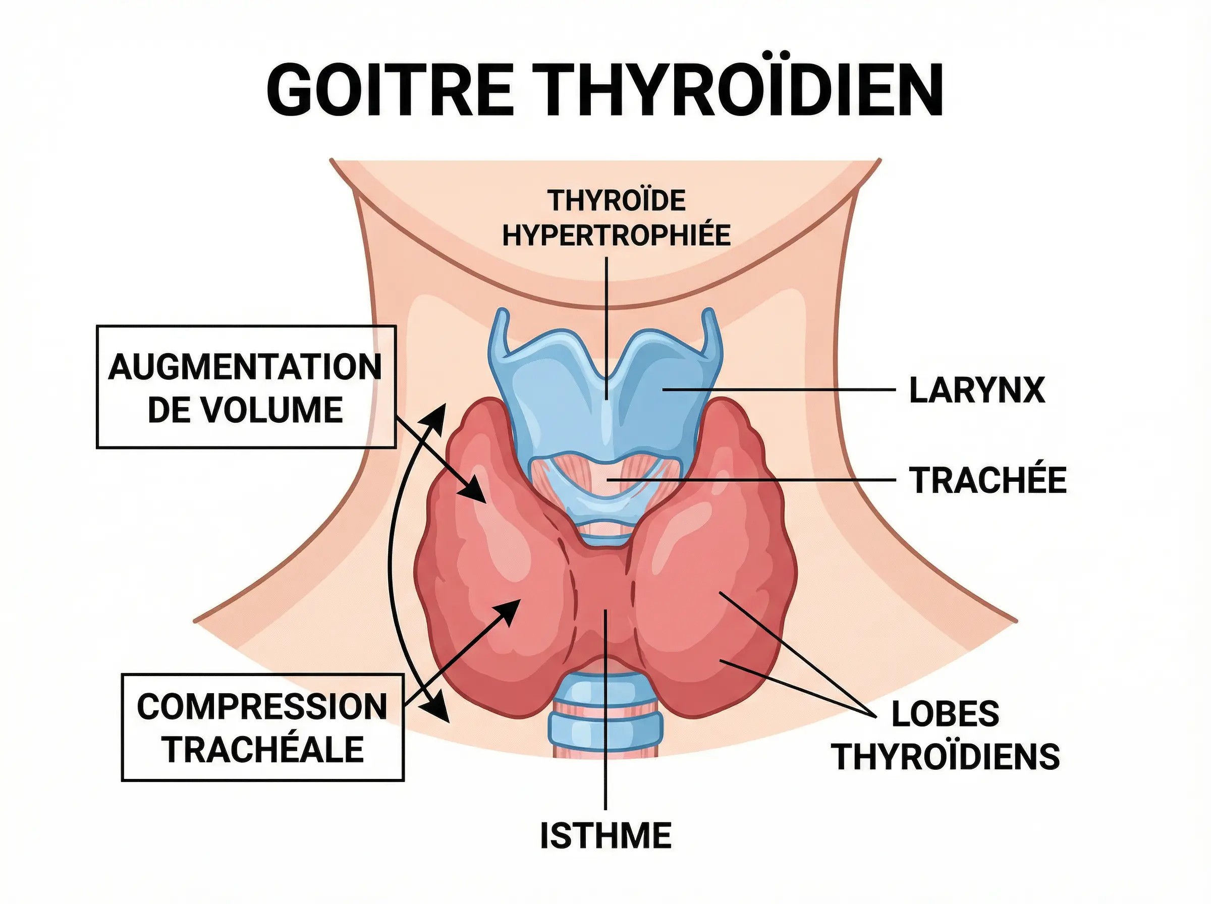 A propos de Dr Tadlaoui